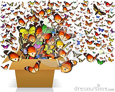 Ð¡olorful butterflies and moths flying out of the box Stock Photo